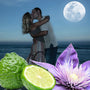 Midnight Romance Fragrance Oil fragrance oil bottle - Zoom Thumbnail Media 1