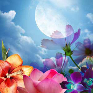 Moon Flower Fragrance Oil