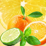 NG Cool Citrus & Basil Type Fragrance Oil fragrance oil bottle - Zoom Thumbnail Media 1