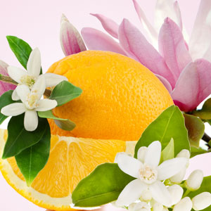 NG Magnolia & Orange Blossom Type Fragrance Oil