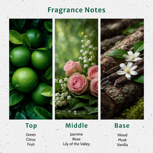 NG Mahogany Teakwood Type Fragrance Oil fragrance oil bottle - Secondary Image