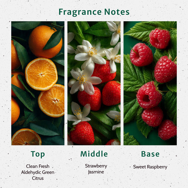 NG Volcano Type Fragrance Oil