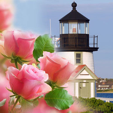 Nantucket Garden Fragrance Oil