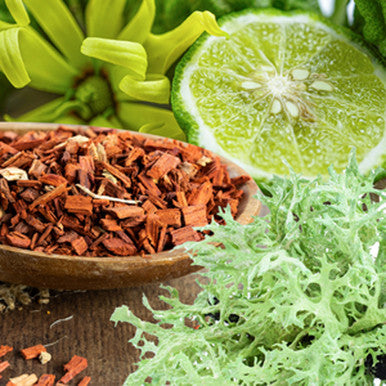 Oakmoss Sandalwood Fragrance Oil