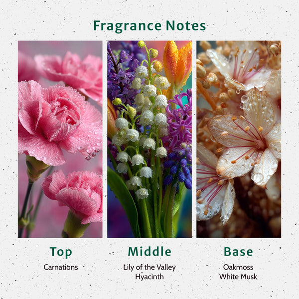 Ocean Mist Fragrance Oil fragrance oil bottle - Zoom Media 2