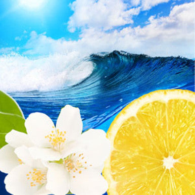 Ocean Waves Fragrance Oil fragrance oil bottle - Zoom Media 1