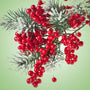 Pepperberry Wreath Fragrance Oil fragrance oil bottle - Zoom Thumbnail Media 1