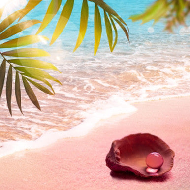 Pink Beaches Fragrance Oil
