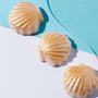 Seashell Wax Melt Kit fragrance oil bottle - Zoom Thumbnail Media 1