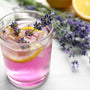 Sparkling Lavender Lemonade Fragrance Oil