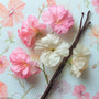 Sweet Pea Vanilla Fragrance Oil fragrance oil bottle - Zoom Thumbnail Media 1