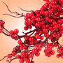 Twigs n Berries Fragrance Oil fragrance oil bottle - Zoom Thumbnail Media 1