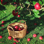 Under the Apple Tree Fragrance Oil