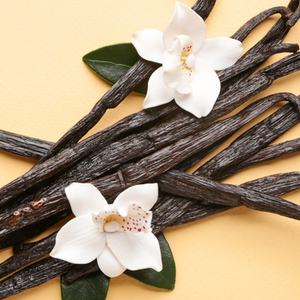 Vanilla Bean Fragrance Oil