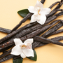 Vanilla Bean Fragrance Oil