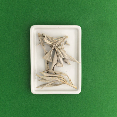 Dried White Sage Incense Leaves