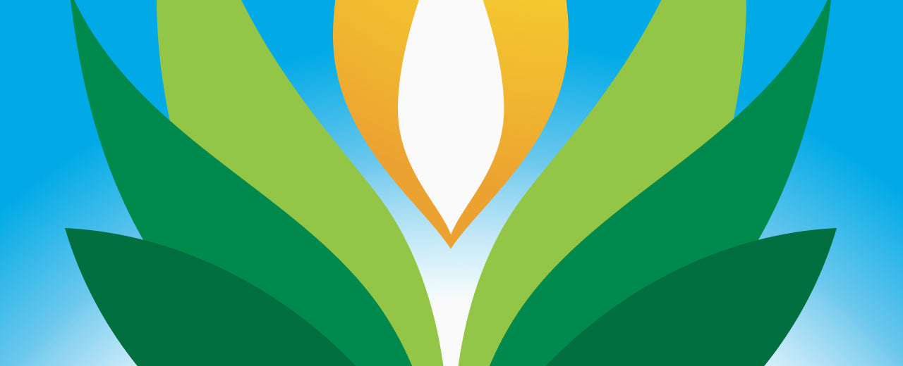 Common Candle Color Meanings: Understanding the Significance