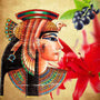 Queen of the Nile Fragrance Oil fragrance oil bottle