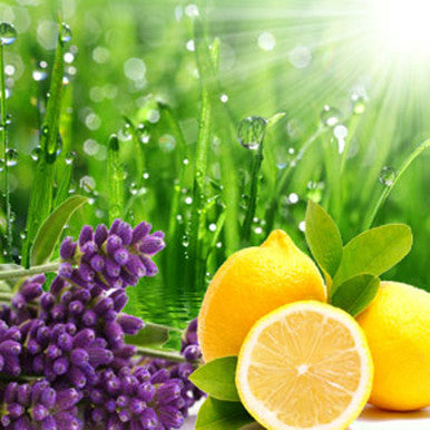 Rain Barrel Fragrance Oil