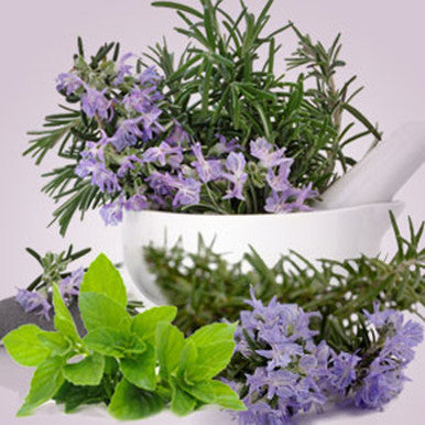 Rosemary Mint Type Fragrance Oil