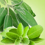 Sage Leaf Fragrance Oil fragrance oil bottle