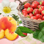 Strawberry Patch Type Fragrance Oil fragrance oil bottle - Zoom Thumbnail Media 1
