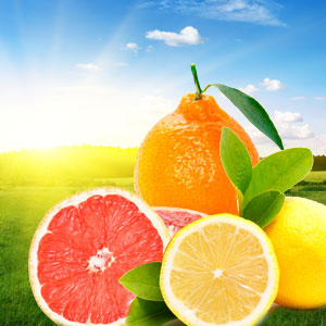 Citrus Scents