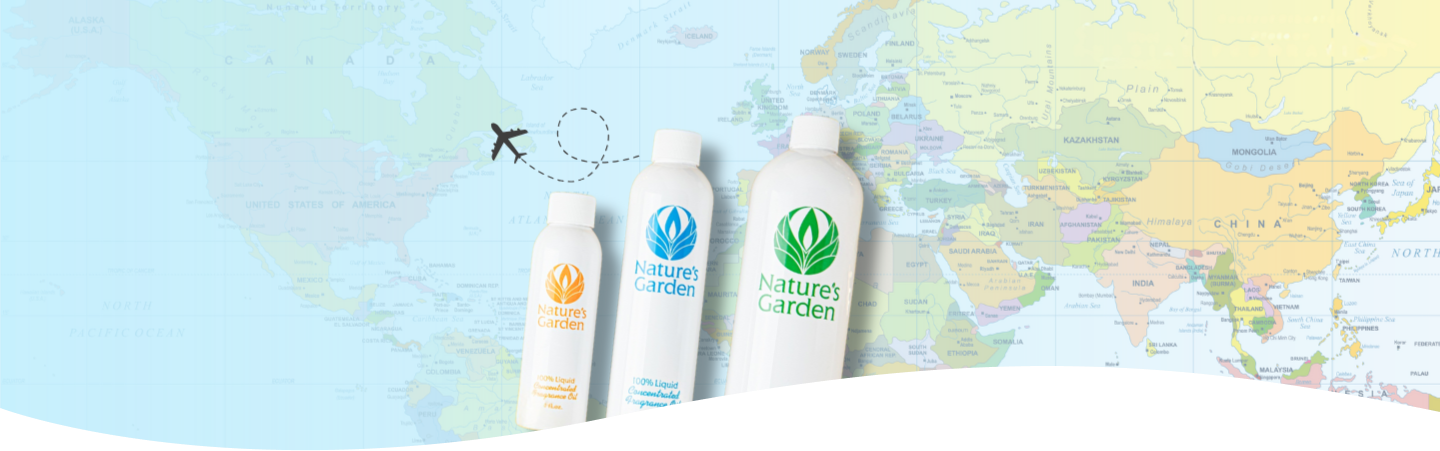 World Travel Collection