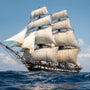 Bay Rum Fragrance Oil fragrance oil bottle