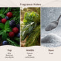 Blackberry Sage Fragrance Oil lifestyle product image - Zoom Thumbnail Media 2