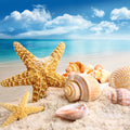 NG Island Fresh Type Fragrance Oil