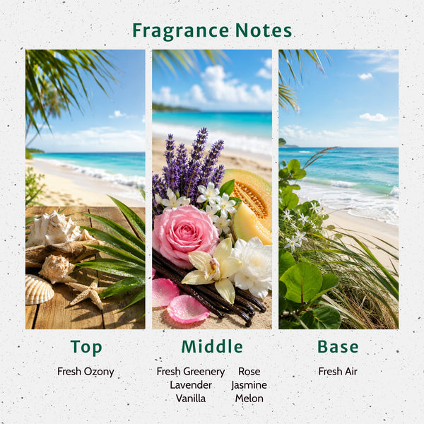 NG Island Fresh Type Fragrance Oil - Zoom Media 2