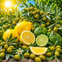 OMG Olive Fragrance Oil - Zoom Thumbnail Media 1