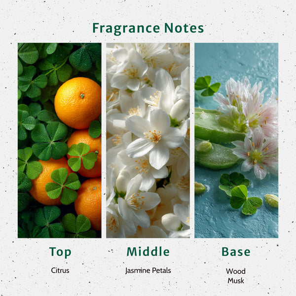 Green Clover and Aloe Fragrance Oil