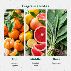 Sage and Citrus Fragrance Oil - Secondary Image