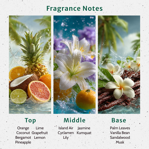 Coconut Lime Verbana Fragrance Oil