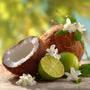 Coconut Lime Verbana Fragrance Oil