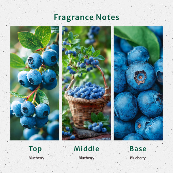 Blueberry Fragrance Oil