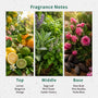 Sage Leaf Fragrance Oil - Zoom Thumbnail Media 2
