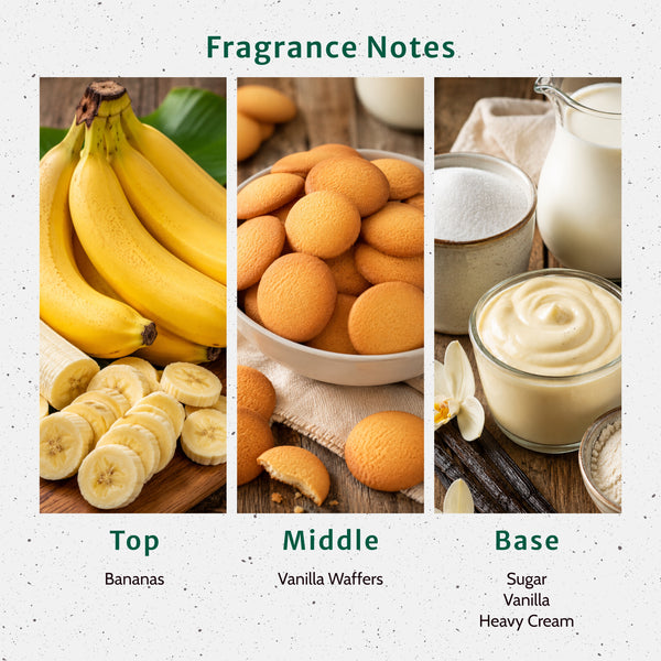 Old Fashion Banana Pudding Fragrance Oil - Zoom Media 2