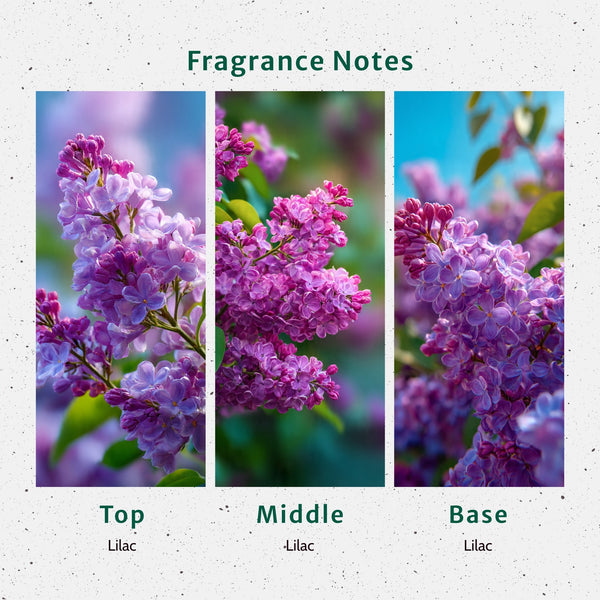 Lilac Fragrance Oil