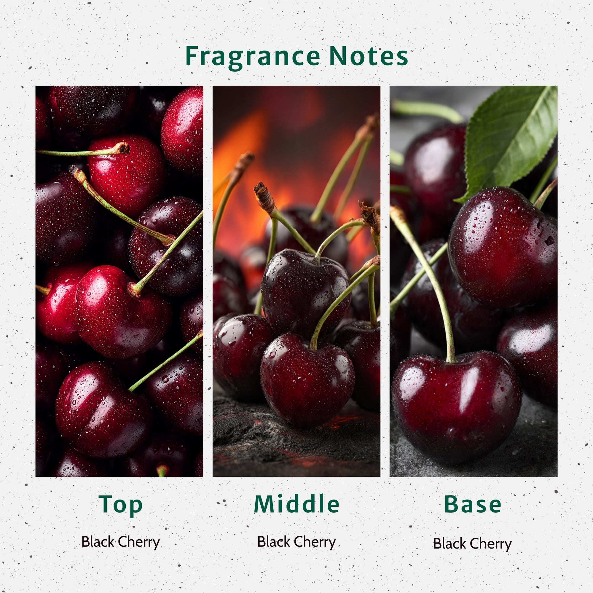 Black Cherry BOMB Fragrance Oil - Fragrance Oils - for Soap