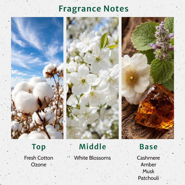 Black Linen And Amber Fragrance Oil lifestyle product image - Zoom Media 2