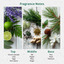Lavender Sage Fragrance Oil lifestyle product image - Zoom Thumbnail Media 2