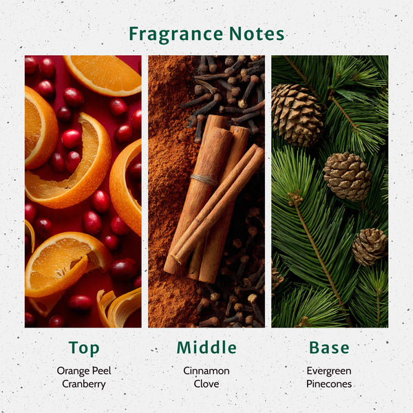 Christmas Memories Fragrance Oil
