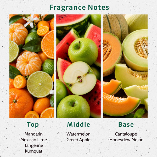 Jamaica Me Crazy Fragrance Oil lifestyle product image - Zoom Media 2