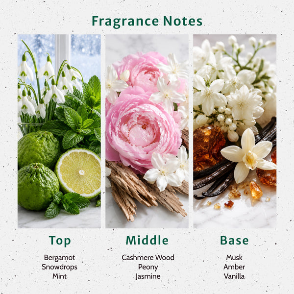 Cashmere Whispers Fragrance Oil - Zoom Media 2