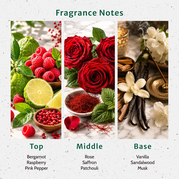 Midnight Rouge Fragrance Oil - Zoom Media 2