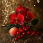 Orchid Glam Fragrance Oil fragrance oil bottle