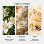 Amber Sugar Fragrance Oil lifestyle product image